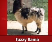 Play The llama song