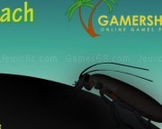Play Clickroach