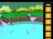 Play Zoo escape
