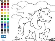 Play Color Horse