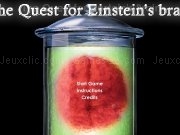 Play The Quest For Einstein Brain