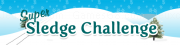Play Super sledge challenge