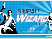 Play Game bin ball wizard