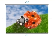 Play Jigsaw Puzzle Ladybug