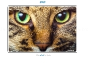 Play Jigsaw Puzzle Cat Eyes