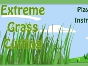Play Extreme grass cutting