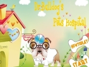 Play Dr Bulldogs pets hospital