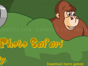 Play Safari