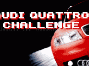 Play Audi Quattro Challenge