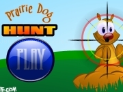 Play Prairie dog hunt