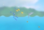 Play Dolphin olympics