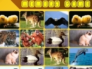 Play Memory game animals