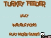 Play Turkey feeder