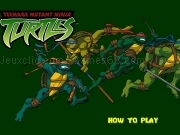 Play Teenage mutant ninja turtles