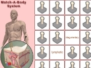 Play Match A Body System