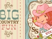 Play Big country fun