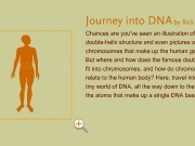 Play Journey into DNA