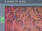 Play A sense of scale