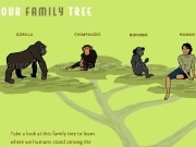 Play Our familly tree