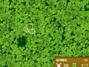 Play Find the clover
