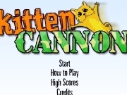 Play Kitten cannon