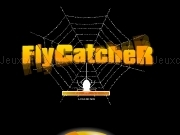 Play Fly catcher