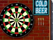 Play Pub dart master