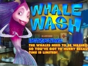 Play Whale wash