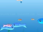 Play Fishy