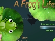 Play A frog life