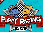 Play Puppy racong