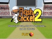 Play Flash cricket 2