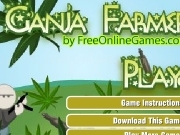 Play Ganja farmer