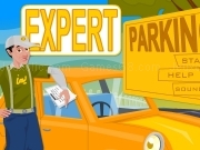 Play Expert parking
