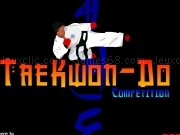 Play Taekwon do competition