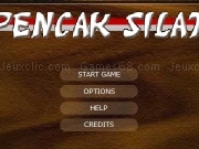 Play Pencak silat