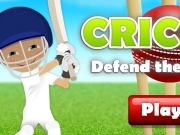 Play Cricket - defend the wick