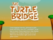 Play The turtle bridge