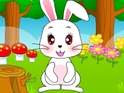 Play Rabbit dress up