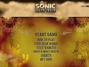 Play Sonic maze craze