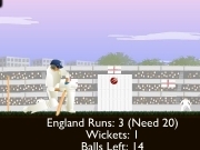 Play Top spinner cricket
