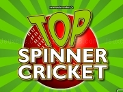 Play Top spinner cricket