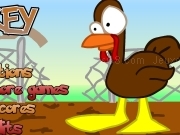 Play Fat turkey