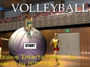Play Volleyball