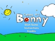 Play Cyber bunny
