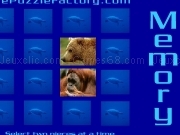 Play Memory animal match