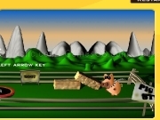 Play Zapak pig