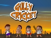 Play Gully cricket