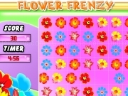 Play Flower frenzy