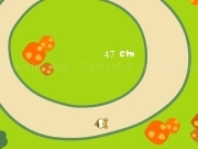 Play Mouse race circle